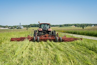 Tractor in alfalfa field