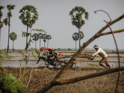 USAID photo of rice farmer