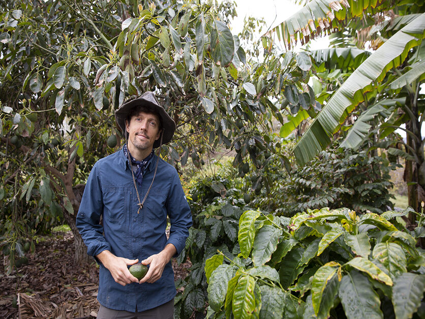 jason mraz avocado shirt