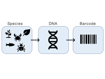 DNA Barcoding