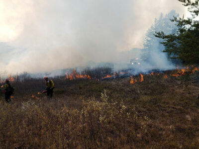 Prescribed-fire-torching-J-Miesel-836x627-compressed.jpg