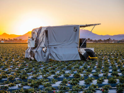 strawberry-harvester-sunset-836x627-compressed.jpg