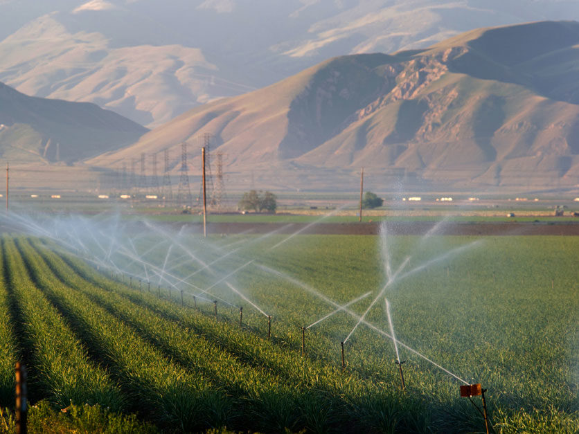 CDFA invests in irrigation, nutrient management projects | Agri-Pulse ...