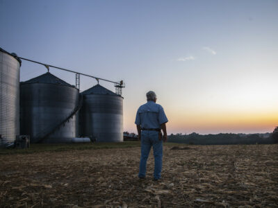 Farmer_sunset_bins_producer.jpg