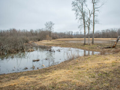 Wetland_reserve_program_easement_conservation.jpg