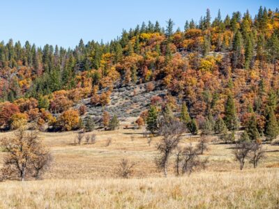 Cascade Siskiyou National Monument - BLM Flickr.jpg