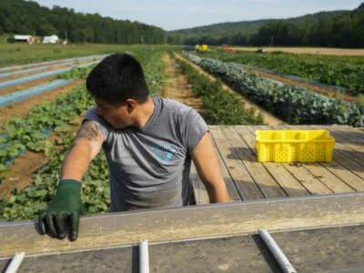 farmworker-heat-ap-photo-2023.jpg