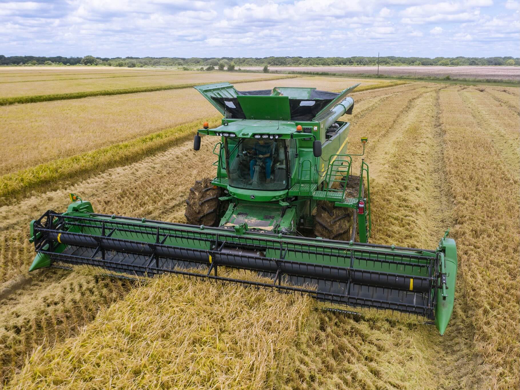 Land leveled rice farm in Texas USDA.jpeg