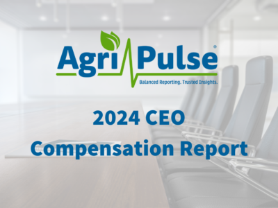 2024 ceo compensation report 2