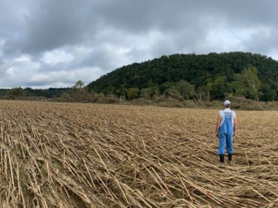 Tennessee Farmer Field Flattened.jpg