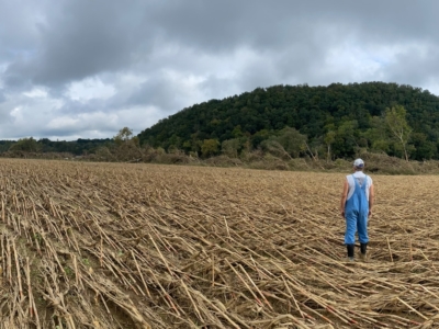 Tennessee farmer field flattened