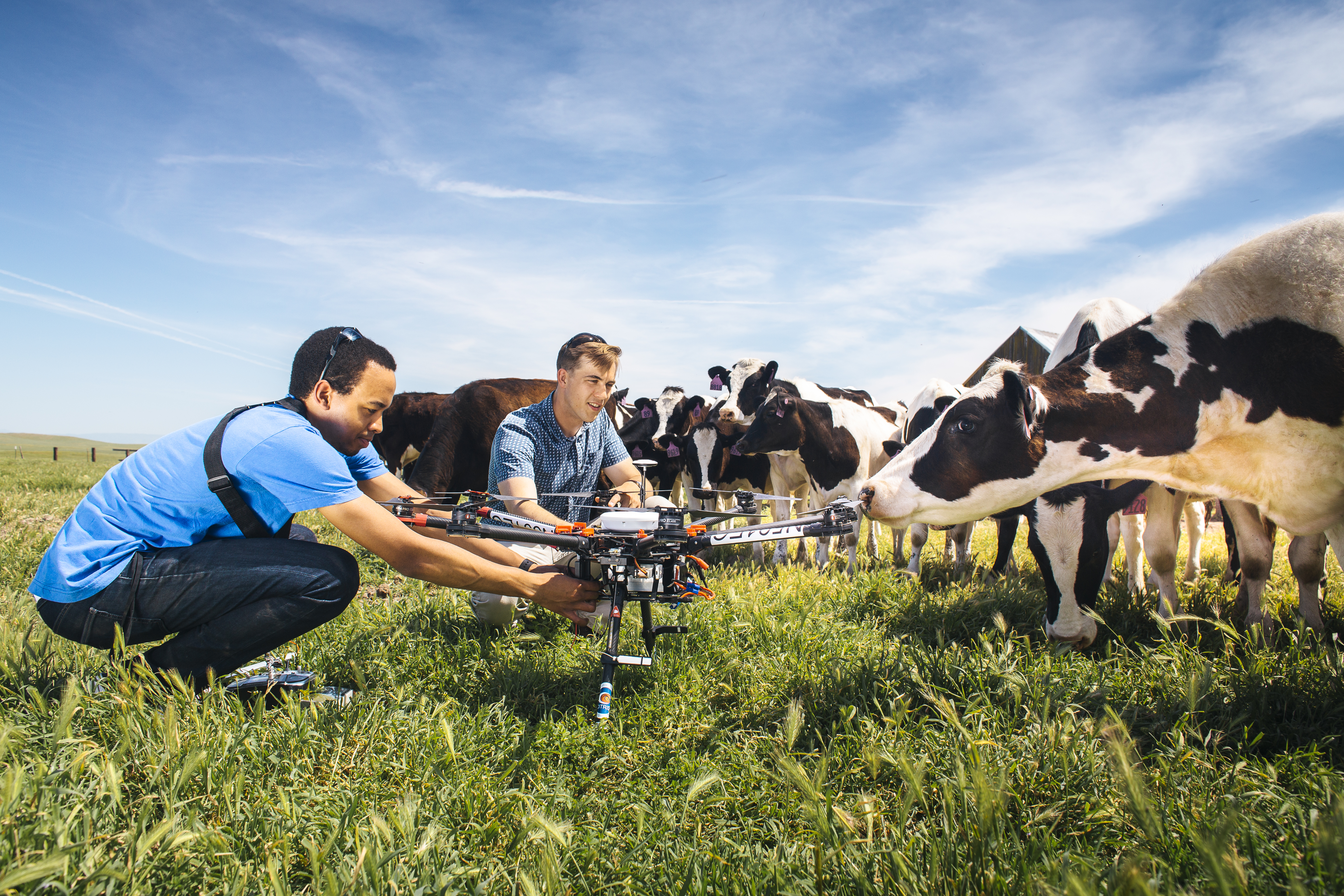 Dairy-cow-farmer.jpg