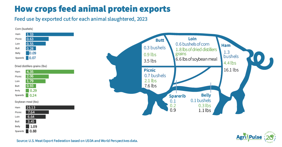 pig_visualization_v2.png