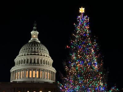 U.S. Capitol Christmas Tree.jpg