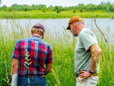 NRCS_wetlands_conservation.jpg