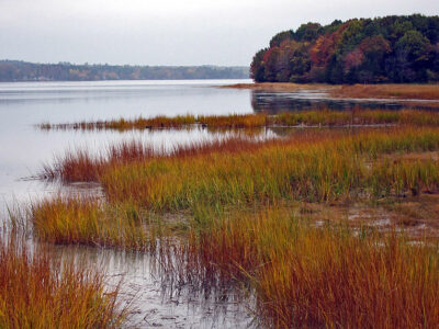 Great_Bay_National_Wildlife_Refuge.jpg