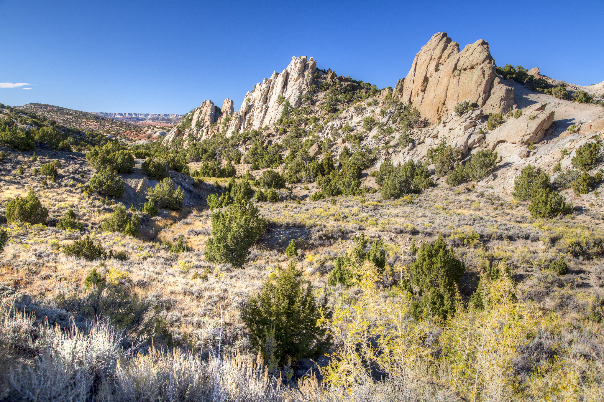 Wyoming_landscape_BLM_pasture.jpg