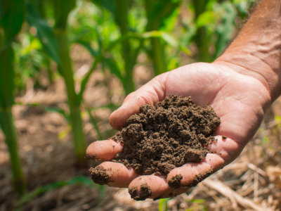 Nrcs soil in hand conservation