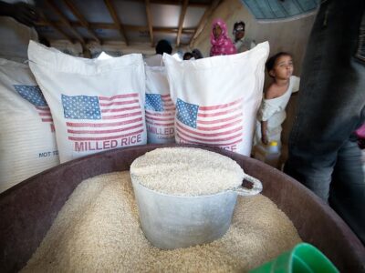 Rice-USAID.jpeg