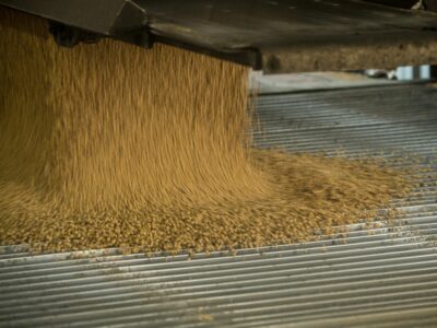 soybeans-usda-flickr-shipment.jpg