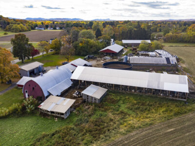 Dairy farm