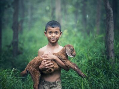 Lad with cow