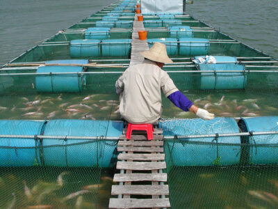 Aquaculture