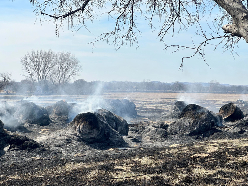 Texas wildfires leave millions of acres burned, thousands of livestock ...