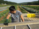 AP_MAY_2024_FARMWORKERS_HEAT_2.jpg