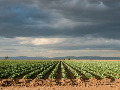 CA farm storm clouds DWR