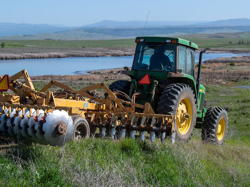 DWR wildlife area planting