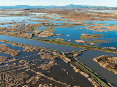 Delta flooding