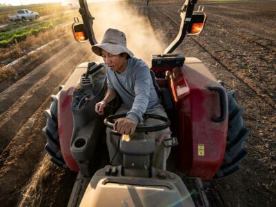 Hmong grower in Fresno County