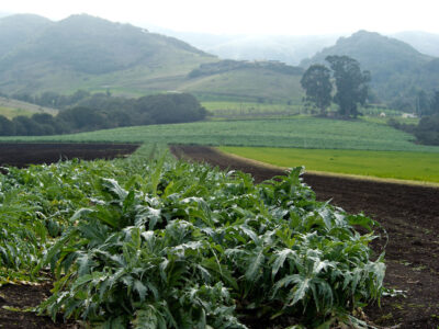 SLO County farm