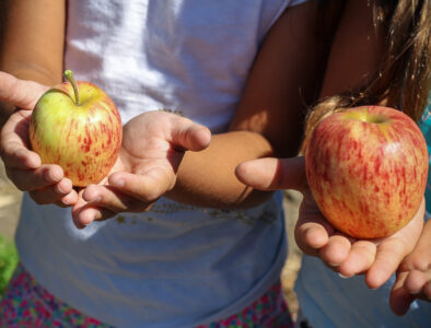 kids with apples