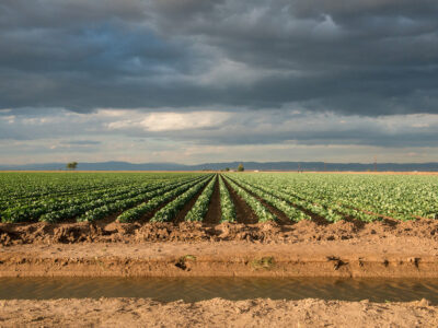 a farm accessing canal water