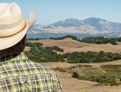 farmer rolling hills