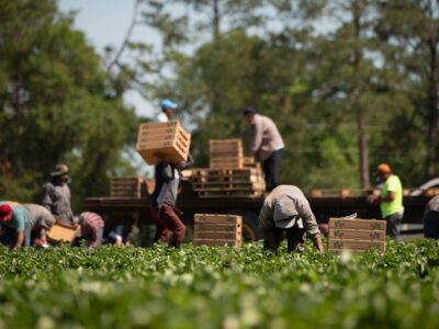 farmworkers