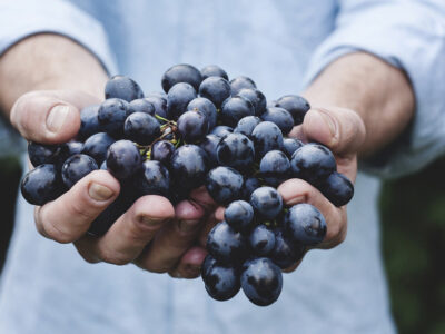 grapes in hand