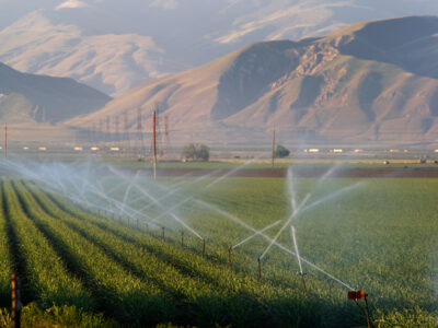 irrigated fields san joaquin valley DWR