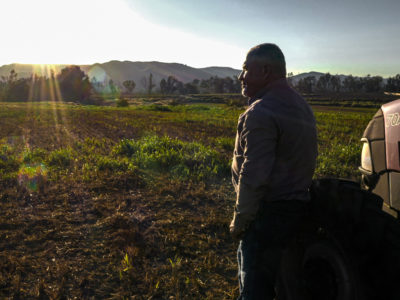 new farmer in field