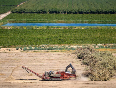 orchard chipping for recharge DWR