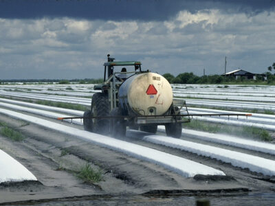 spraying crops