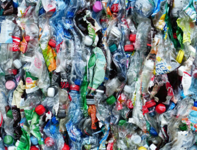 plastic bottles