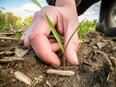 soil health