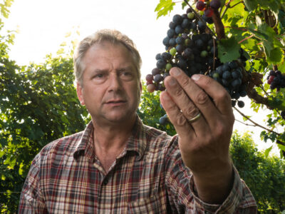 vineyard manager