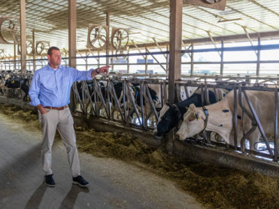 David_Valadao_dairy_farm.jpg