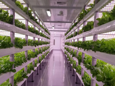 Vertical farming