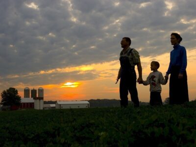 Family Farm