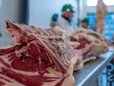 beef_carcass_inspection_3.jpg